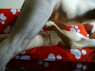 Live ABG Bispak Jakarta Hotel Bintang Lima Skandal WOT 2026 HD